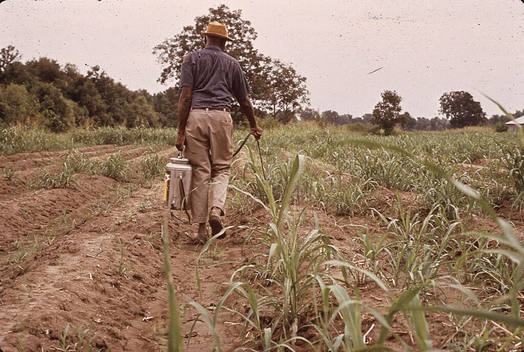 Amalia Ribi Forclaz launches project on “Agrarian Transitions, Pesticide Controversies and International Governance”